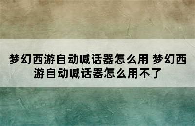 梦幻西游自动喊话器怎么用 梦幻西游自动喊话器怎么用不了